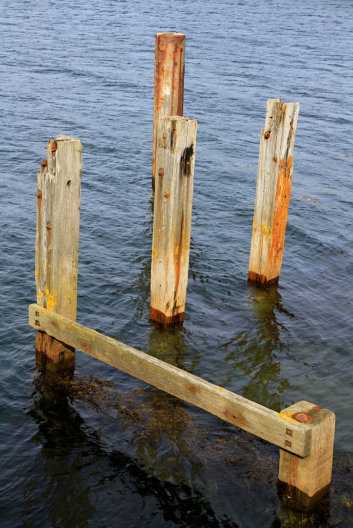 Old Harbour Timbers