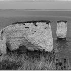 Old Harry Rocks