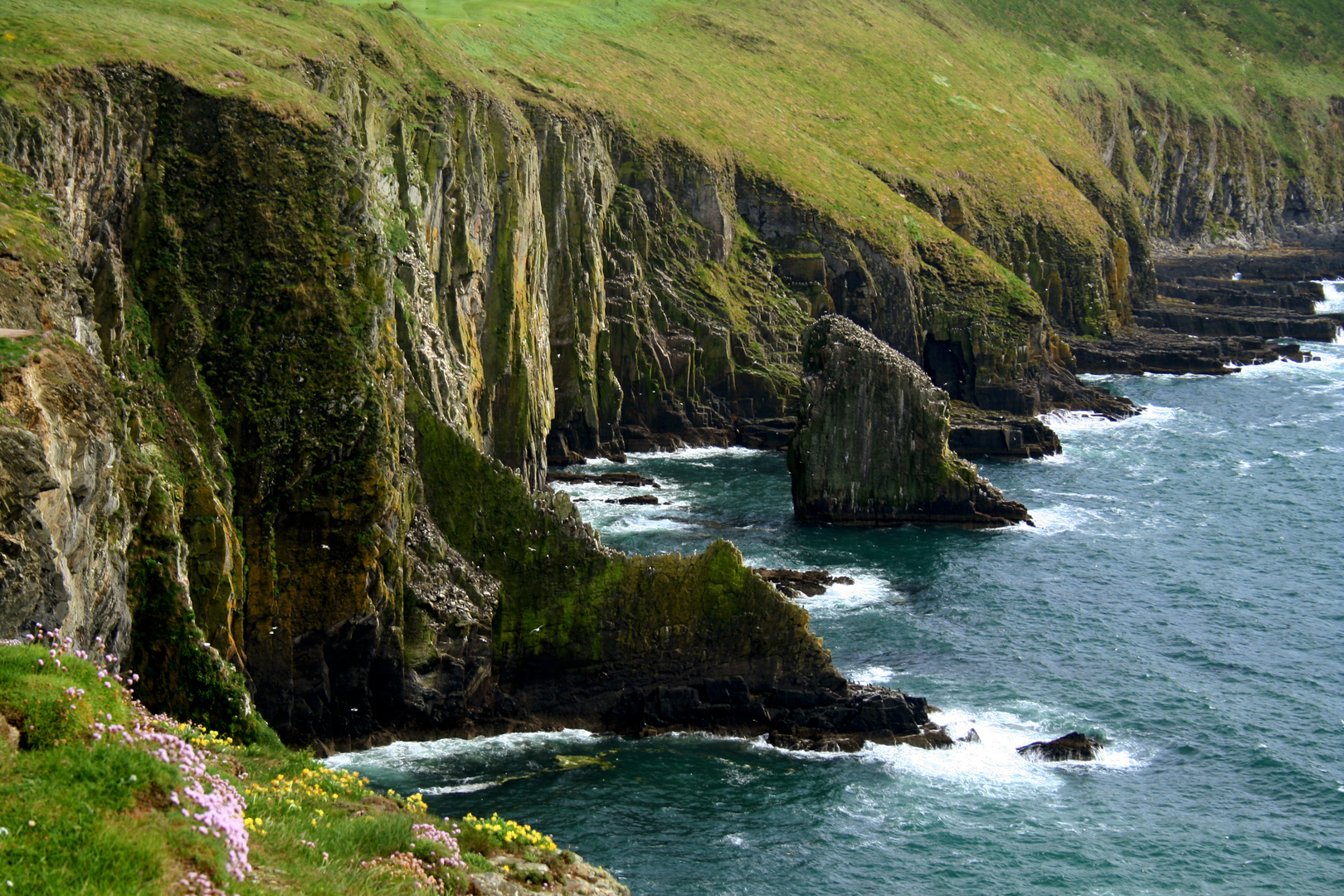 Old Head of Kinsale - 2012