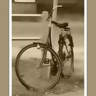 Old holland bike