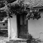 Old house