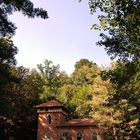 Old house in the woods