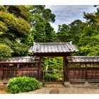 Old house's gate