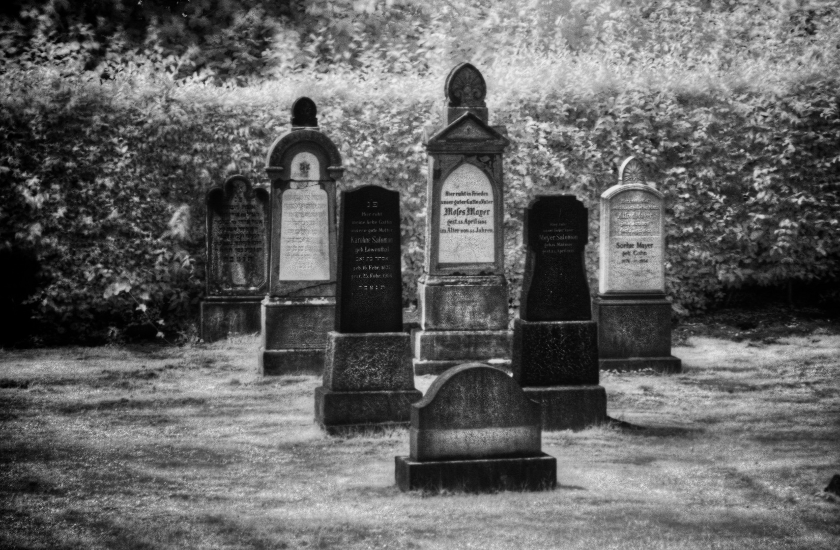 Old Jewish Cemetery