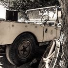 Old Landy