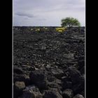 Old Lava