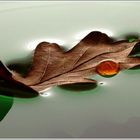 ...old leaf, floating...