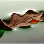 ...old leaf, floating...