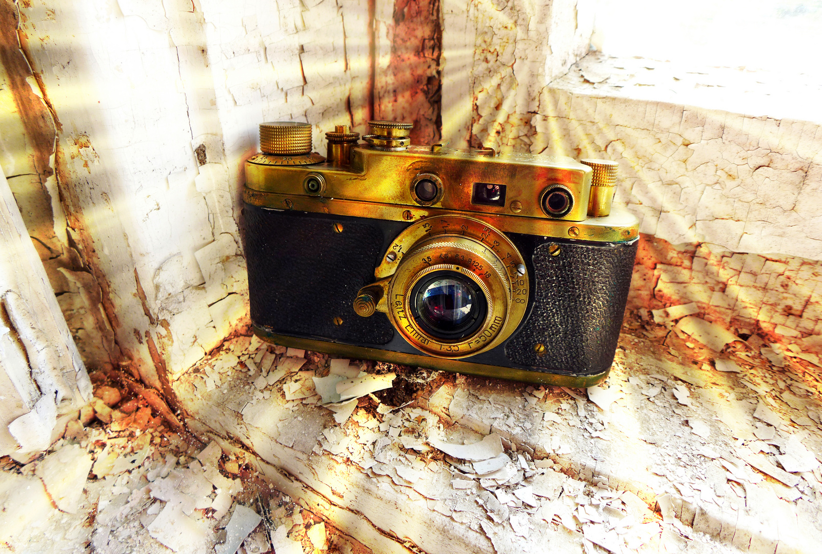 OLD LEICA MEETS SUNBEAMS