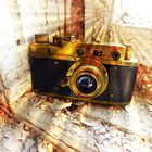 OLD LEICA MEETS SUNBEAMS