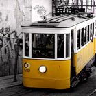 Old Lisboa