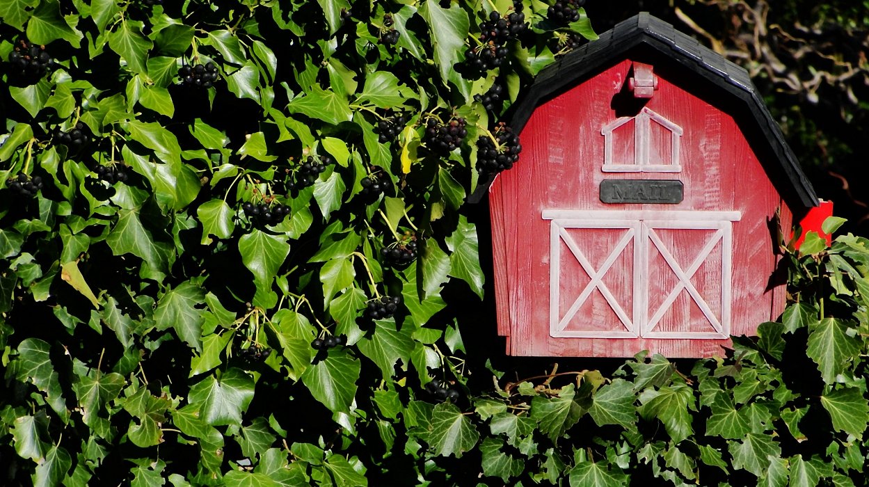 Old MacDonald Had A Farm