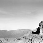 Old man and the desert