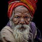 old man of Haridwar