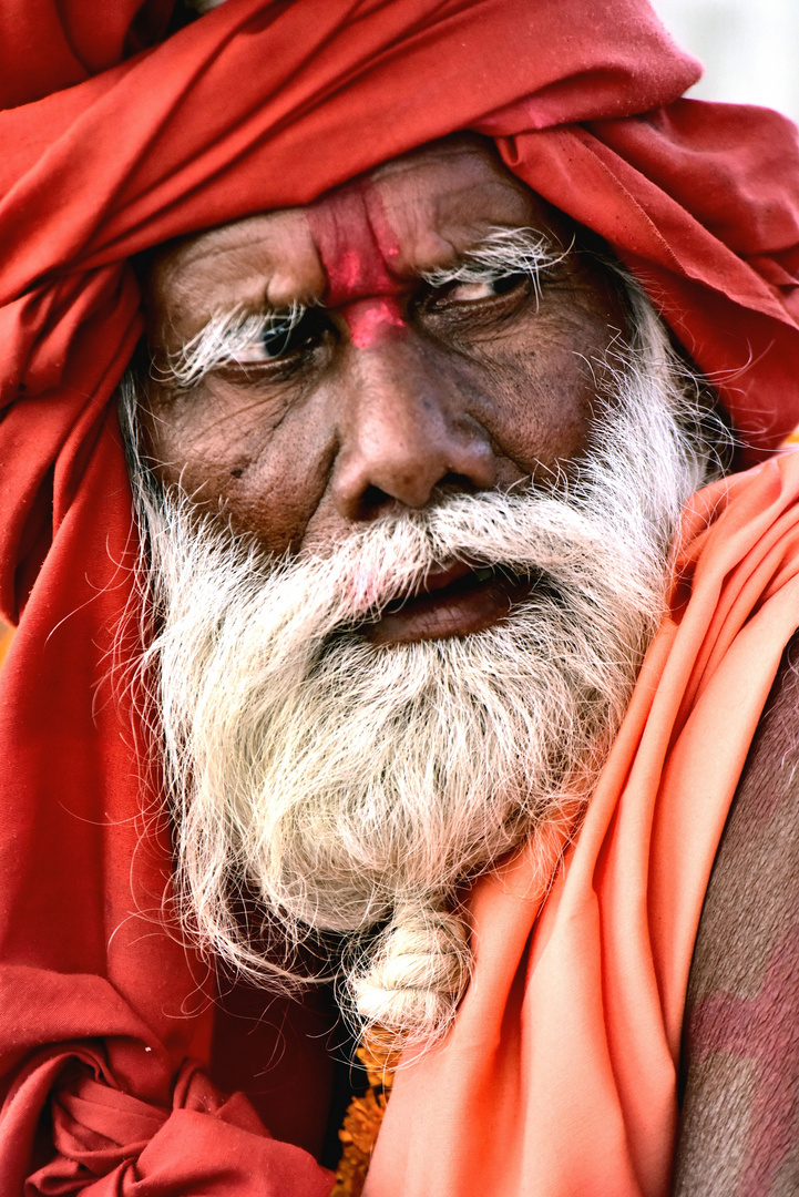 Old  man to Pushkar