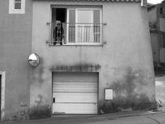 old man watching street from his chamber