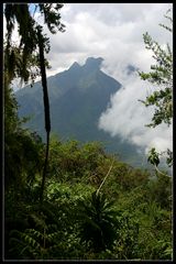 Old man's teeth, Uganda