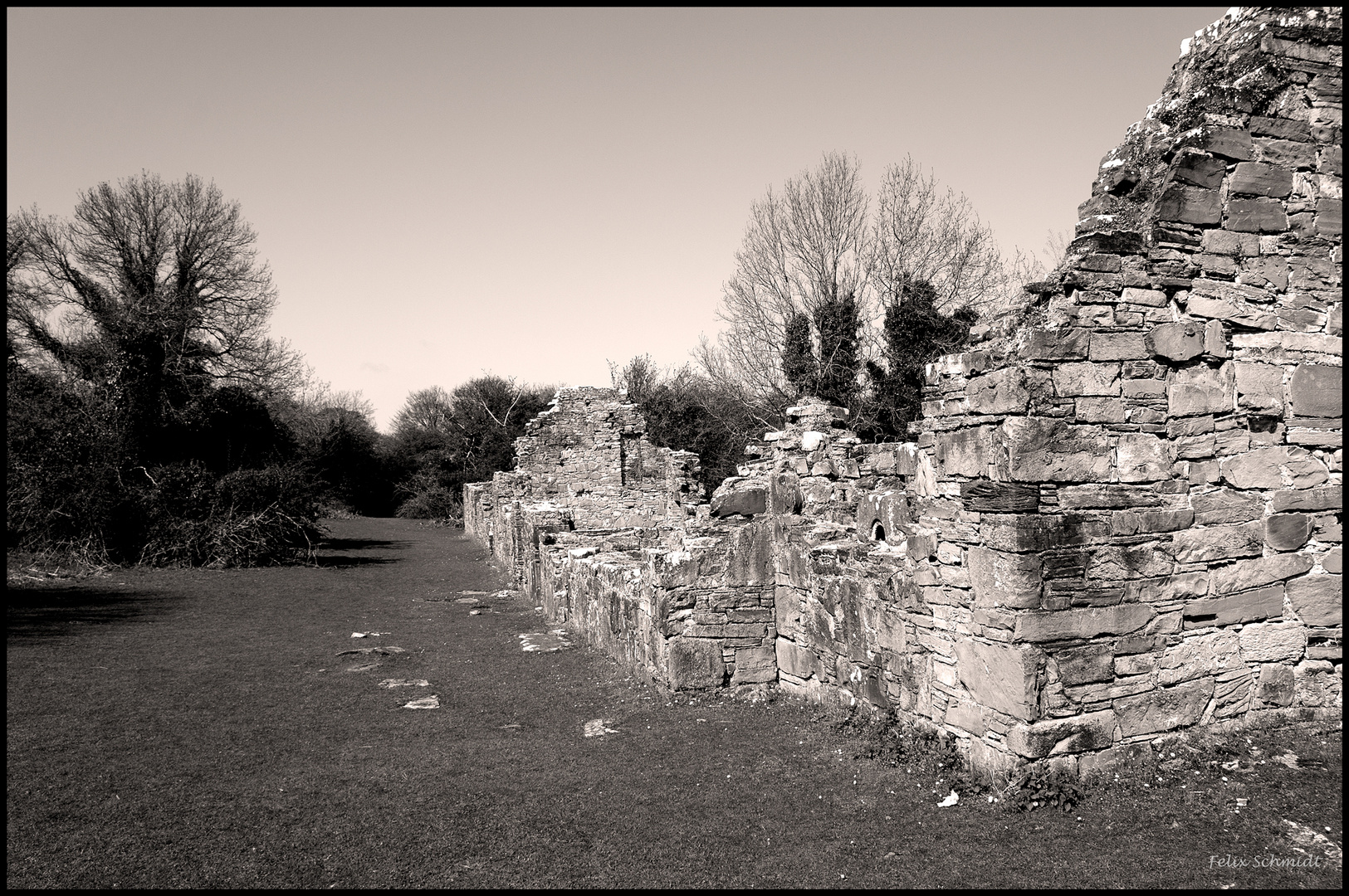 Old Monastery of Innisfallen