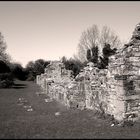 Old Monastery of Innisfallen