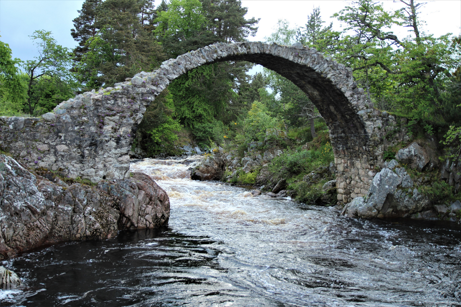 Old Pack Horse Bridge/ Schottland