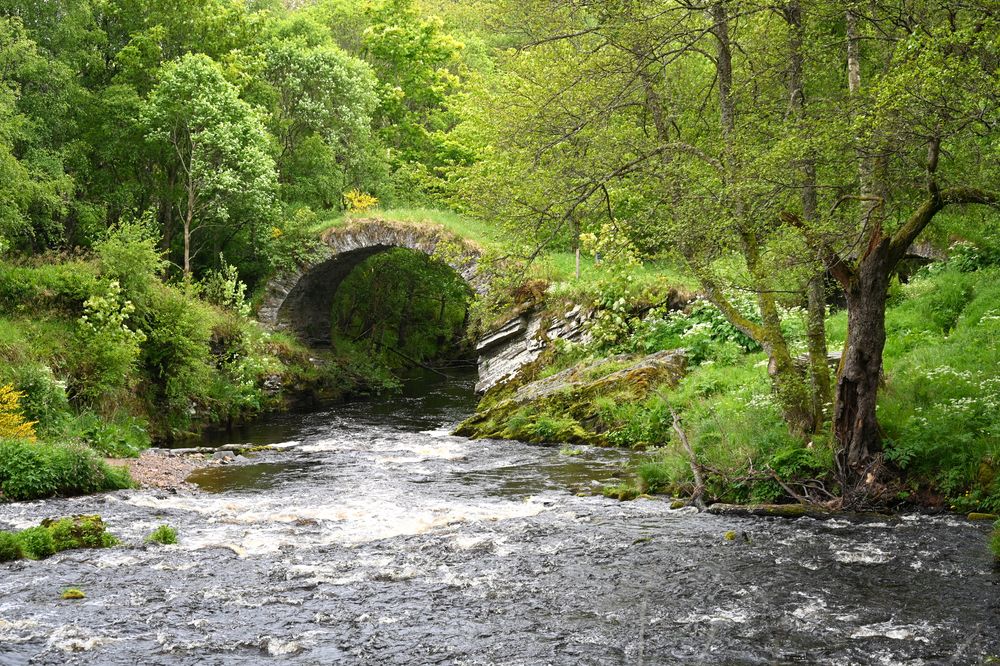 Old Packhorse Bridge