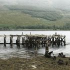 old pier