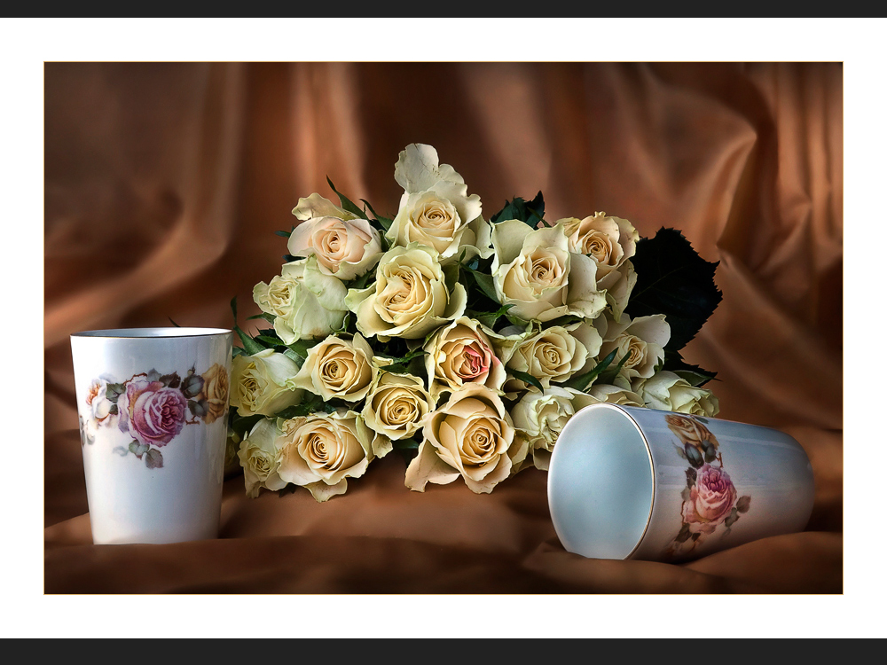 Old porcelain and roses - Altes Thomas Porzellan und Rosen....