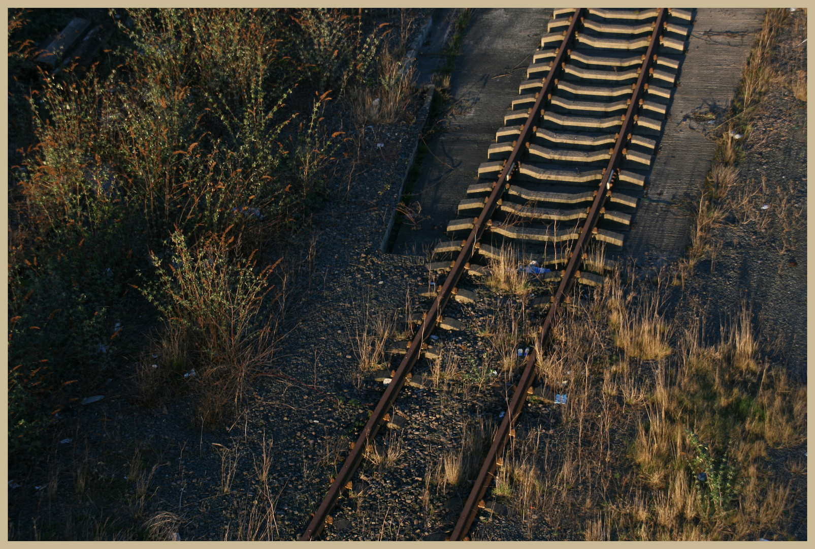 old railway line near pottery lane