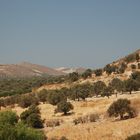 old road, in the north of Rethimno