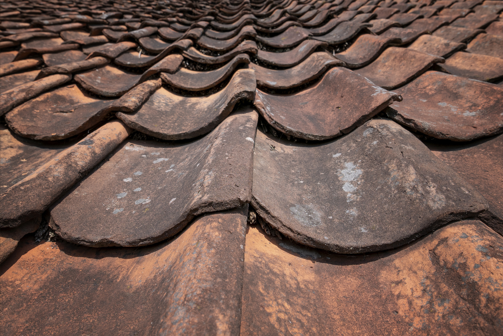 ... old roof II ...