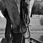 Old Rope