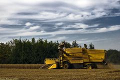 Old-School Harvester