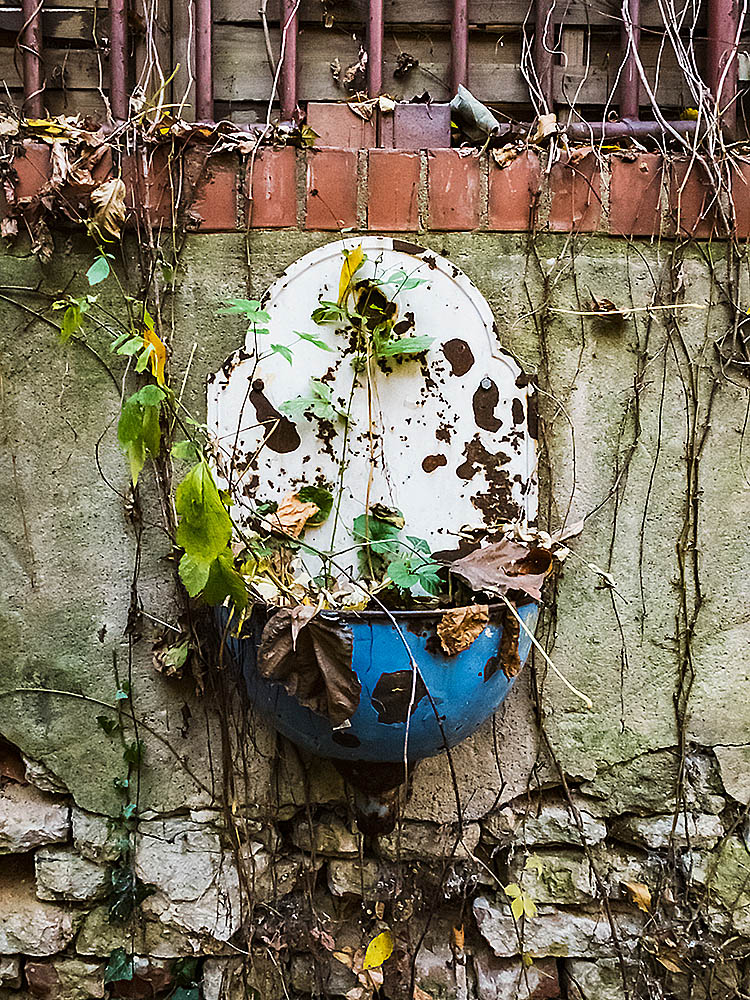 old sink in the backyard