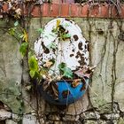 old sink in the backyard