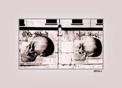 Old skull...