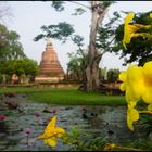 Old Sukhothai