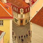 Old Tallinn  (3)