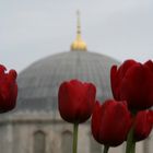 Old Town in Spring Time, Istanbul