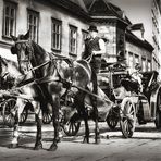 old vienna