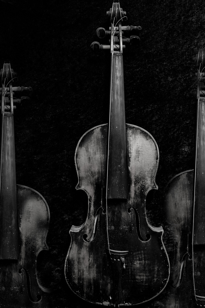 Old Violin