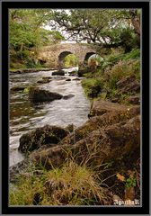 Old weir bridge& Killareny IV.