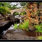 Old weir bridge&Killareny III.