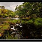 Old weir bridge&Killarney