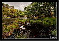 Old weir bridge&Killarney