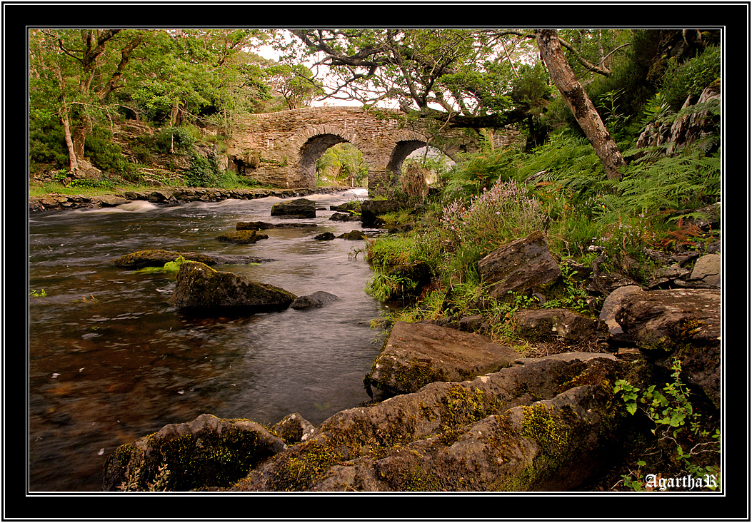 Old weir bridge&Killarney II.