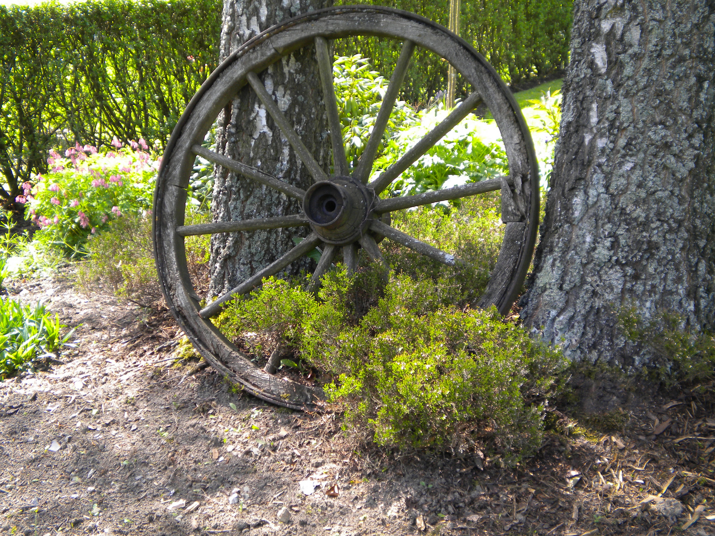 Old Wheel