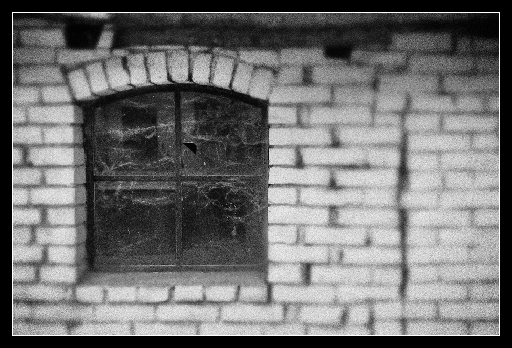 Old Window