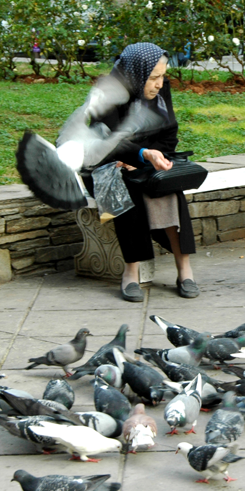 OLD WOMAN AND BIRDS