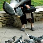 OLD WOMAN AND BIRDS