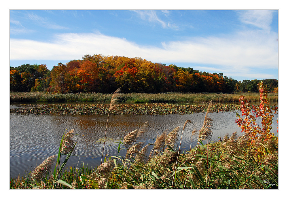 Old Woman Creek Reserve